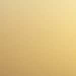 Sevem Suzuki – a menina que calou o mundo durante 6 minutos!