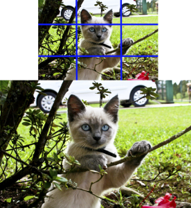 assunto sem a regra dos terços