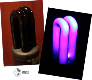 Expedição Vida - luz negra