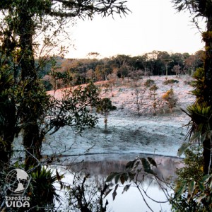 Como se forma a geada?