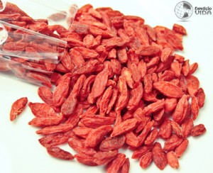 Expedição Vida - frutos de goji berry desidratados