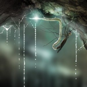 Larvas bioluminescentes! – Um espetáculo documentado em fotografias!