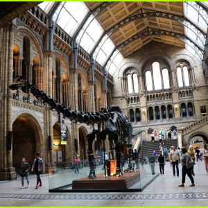 Museu de História Natural de Londres