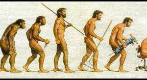 evolucao-humana